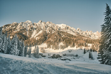 Ciaspolare a Passo Cereda