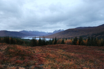 The warm autumn colors of the Scottish Highland landscape