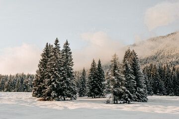 Schnee Landschaft am Berg 