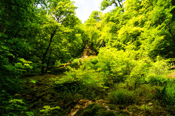 Fototapeta na wymiar Fantastic view of untouched wild nature near the Güterstein Waterfall near the city of Bad Urach, Germany.