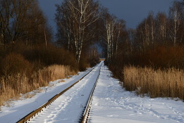 The old railway, going away among bare trees and bushes. Narrow gauge in the snow. Winter landscape.