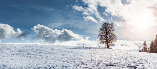 Winterlandschaft mit Baum und Sonnenlicht
