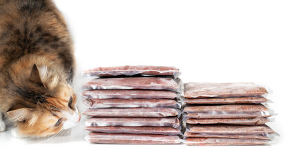 Cat sniffing on frozen raw meat packages. Left chicken, right turkey including back, necks, livers and hearts. Concept for raw food diet for pets, cats or dogs. Selective focus. Isolated on white.