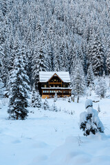 Lodge in the snow