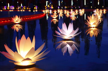 Decorative lotuses in the evening park
