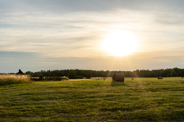 Fototapeta premium Hiiumaa; Estonia, Field ; sunset
