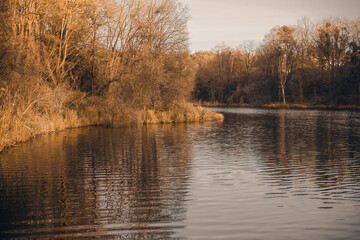 Landscape. Reflection of trees in the water. Landscape. Deep waters of the blue lake surrounded by winter forest. Trees above the water