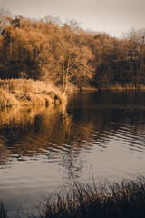 Vertical landscape. Reflection of trees in the water. Landscape. Deep waters of the blue lake surrounded by winter forest. Trees above the water