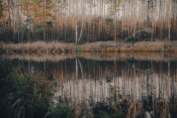 Landscape. Reflection of trees in the water. Landscape. Deep waters of the blue lake surrounded by winter forest. Trees above the water