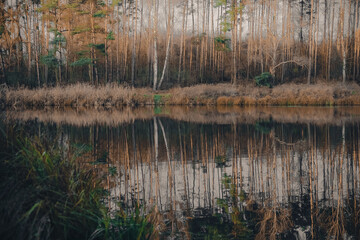 Landscape. Reflection of trees in the water. Landscape. Deep waters of the blue lake surrounded by winter forest. Trees above the water