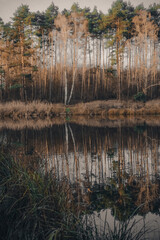 Vertical landscape. Reflection of trees in the water. Landscape. Deep waters of the blue lake surrounded by winter forest. Trees above the water