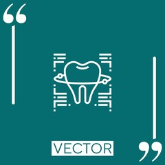 tooth   vector icon Linear icon. Editable stroke line
