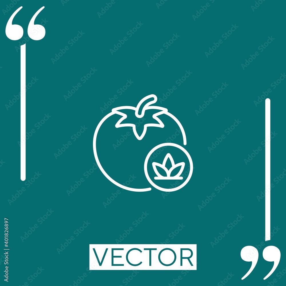 Poster tomato vector icon linear icon. editable stroked line