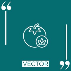 Obraz premium tomato vector icon Linear icon. Editable stroked line