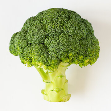 Head of green broccoli on white background