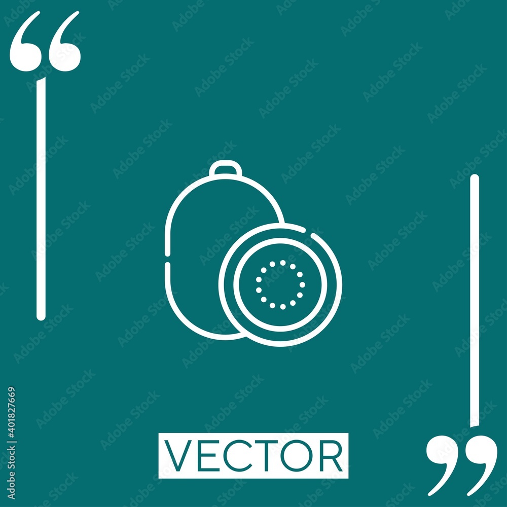 Poster kiwi vector icon linear icon. editable stroke line