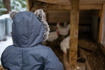 View from behind of a baby boy dressed in winter suit with furry hood, looking curiously at a chicken coop with white hens in the blurry background.