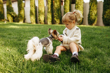 Naklejka na ściany i meble Kid play with funny dog in the garden