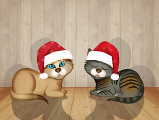 two cats at Christmas