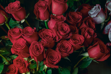 Photo of a red rose in the center with petals