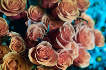 Photo of a beige rose in the center