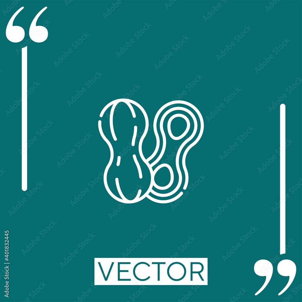 Poster peanut vector icon linear icon. editable stroke line