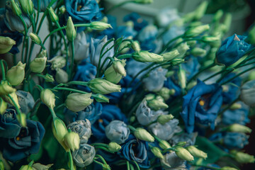 Photo of blue flowers in the center