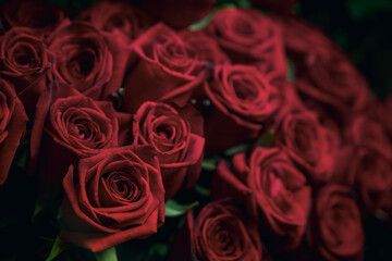 Photo of a red rose in the center with petals in