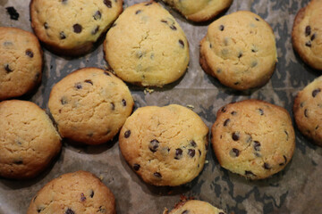Tasty homemade cookies with chocolate chips on baking tray
