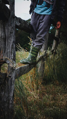 person climbing up a tree