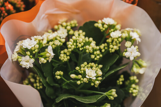 Photo of white flowers in a bouquet