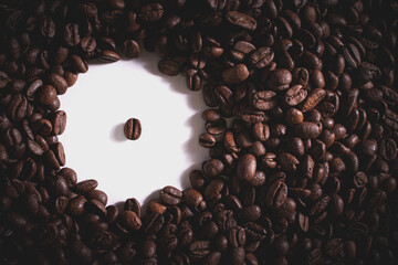 coffee beans on a white background