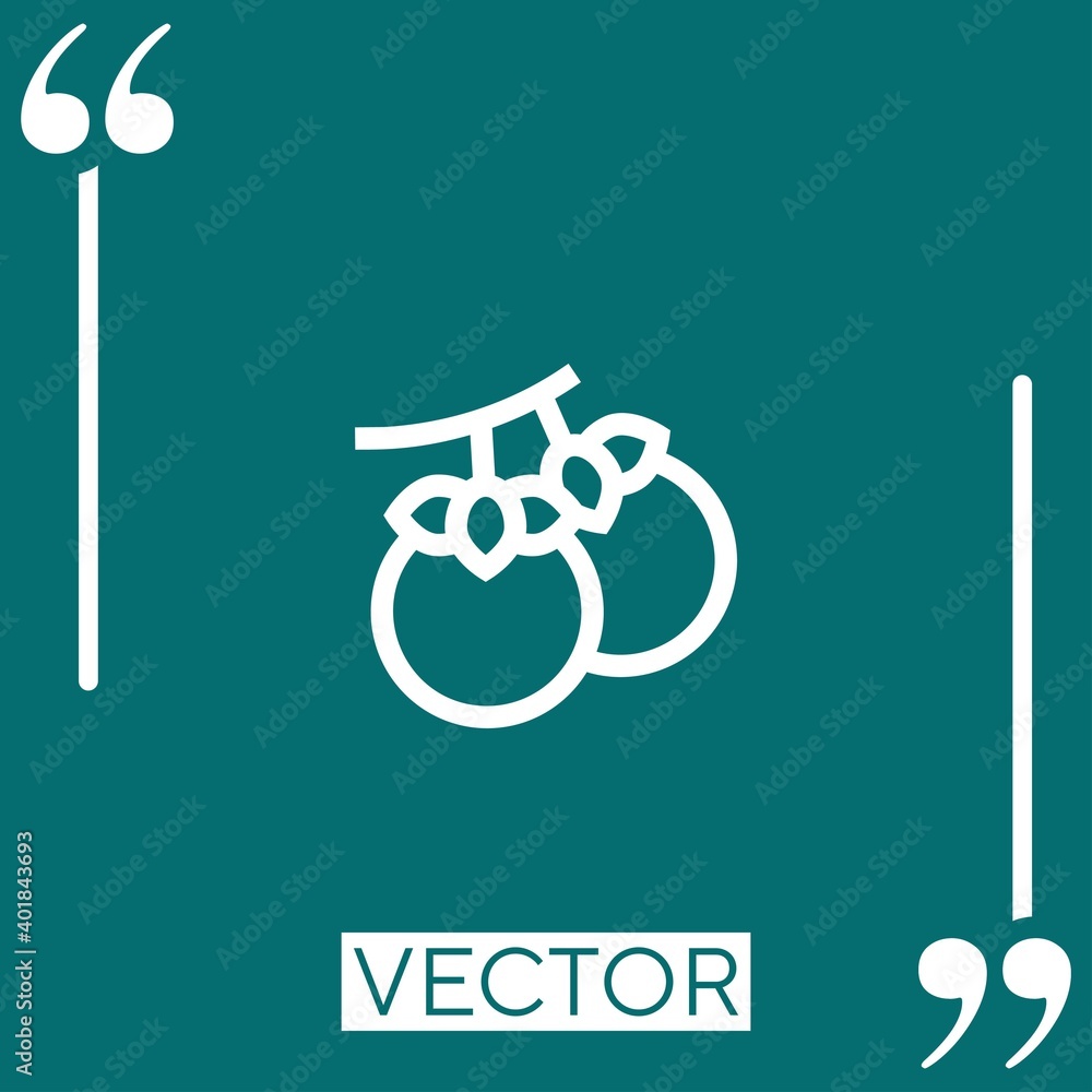 Poster persimmon vector icon linear icon. editable stroked line