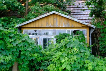 Old traditional wooden house in green garden in polish village Narew, Podlasie region, Poland