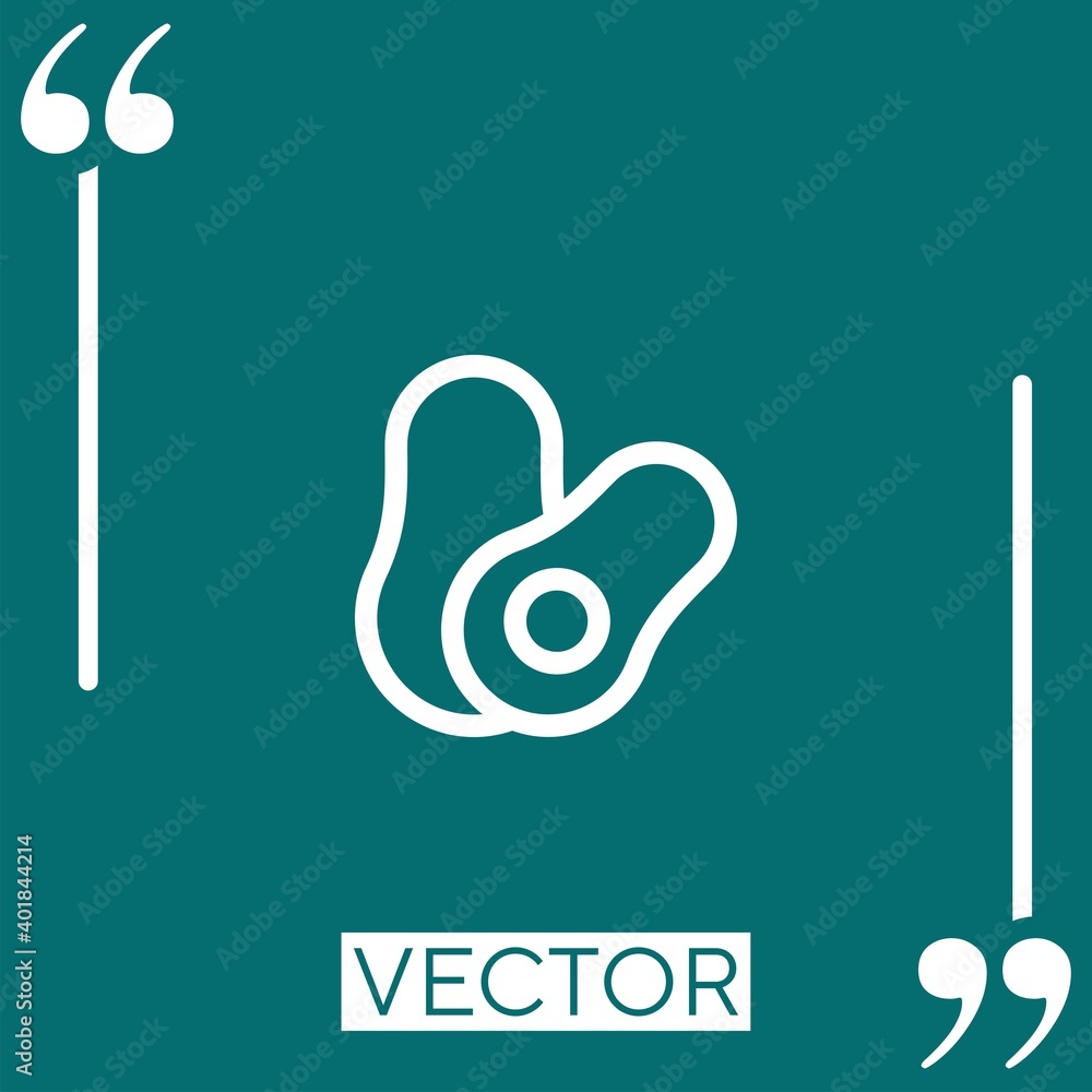 Poster avocado vector icon linear icon. editable stroked line