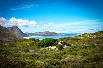 coast of the cape national park in south africa