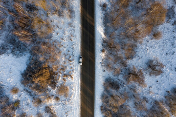 Top-down view of a winter forest crossed by a straight road. One car in the centre. Shadows from trees fall diagonally. No people