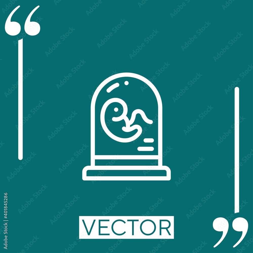 Poster embryo vector icon Linear icon. Editable stroked line