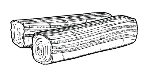 Drawing of surimi sticks - hand sketch of food