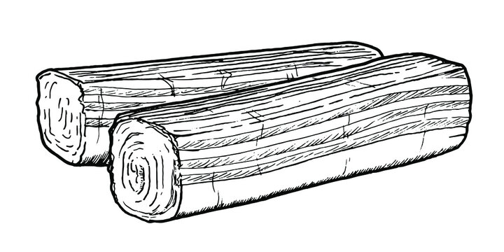 Drawing of surimi sticks - hand sketch of food