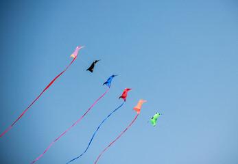 Fliegende Drachen am Meer