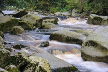 Sumava National Park, mountain river Vydra, Czechia