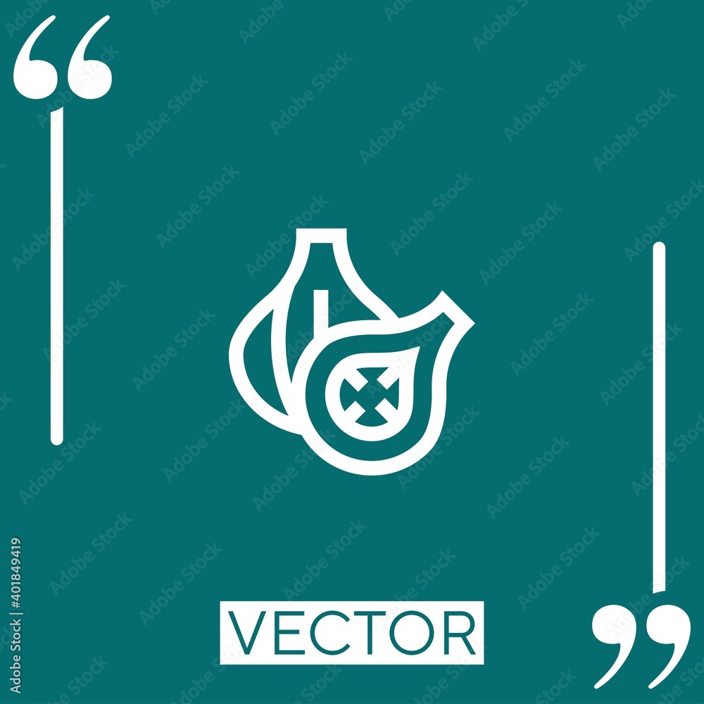 Poster fig vector icon linear icon. editable stroked line