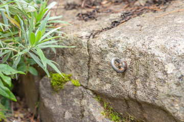 Parabolt en cabecera de barranco
