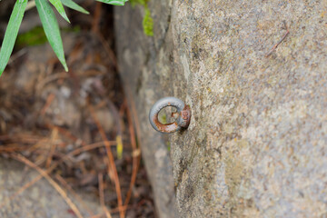Parabolt al inicio de un barranco