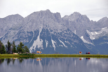 Ellmau am wilden Kaiser in Tirol, Going am wilden Kaiser 