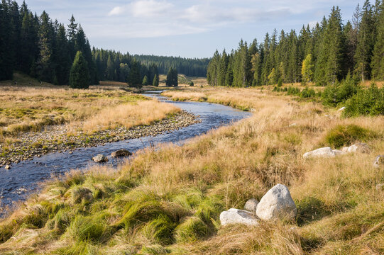 Roklansky potok, Sumava National Park, Czechia