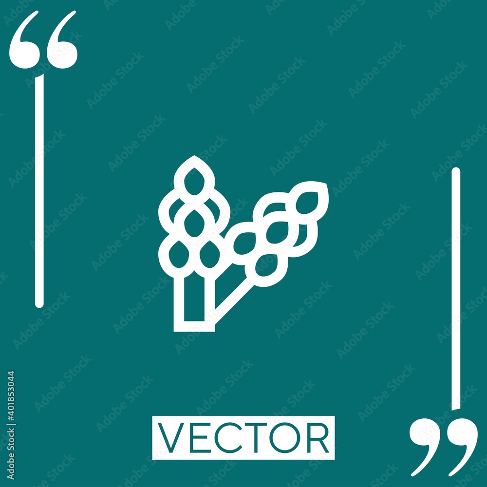 Poster asparagus vector icon linear icon. editable stroked line