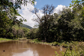 lake and trees in brazil 
