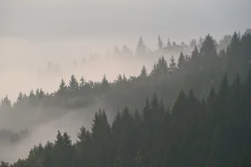 Küchenrückwand glas motiv Wald im Nebel Wald im Morgennebel im Berg. Herbstszene.